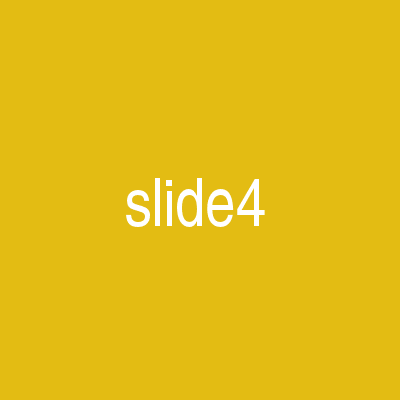 Slide 4